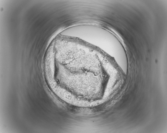 X0000085310907200704092320