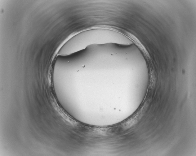 X0000085310908200704092320