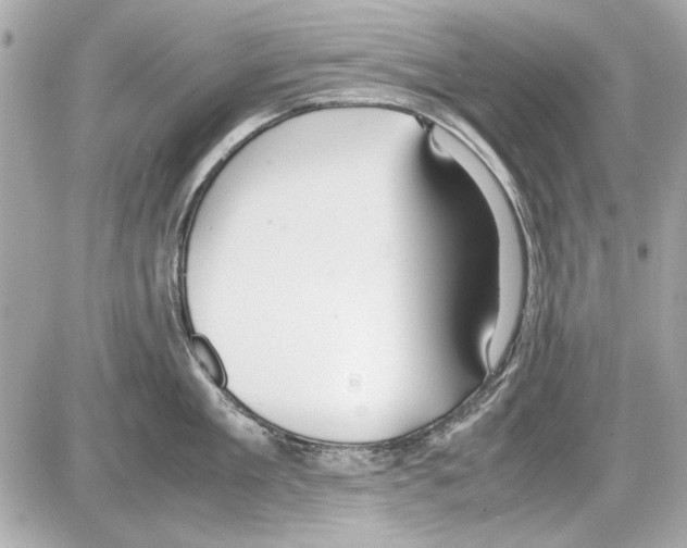 X0000085310909200704092320