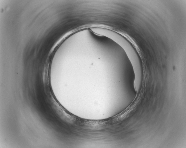 X0000085310910200704092320