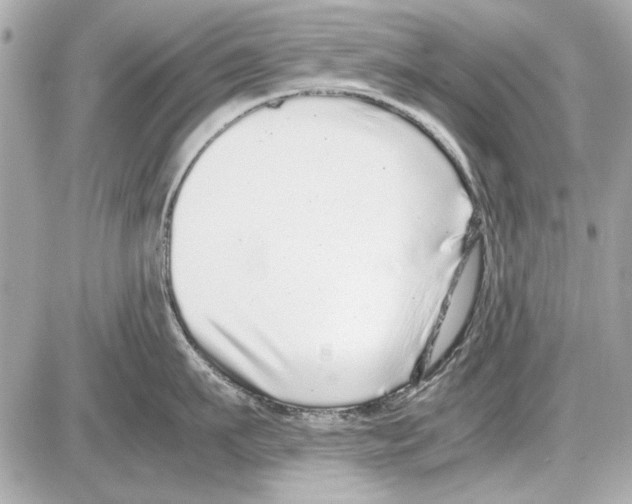 X0000085310911200704092320