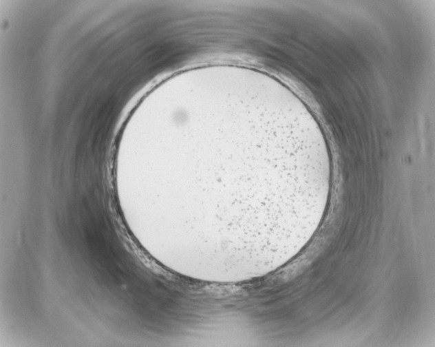 X0000085310912200704092320