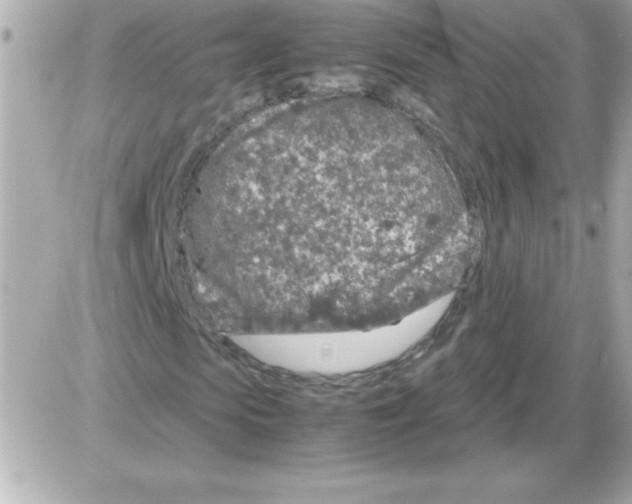 X0000085310913200704092319