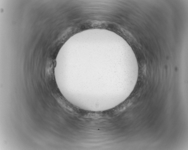 X0000085310914200704092319