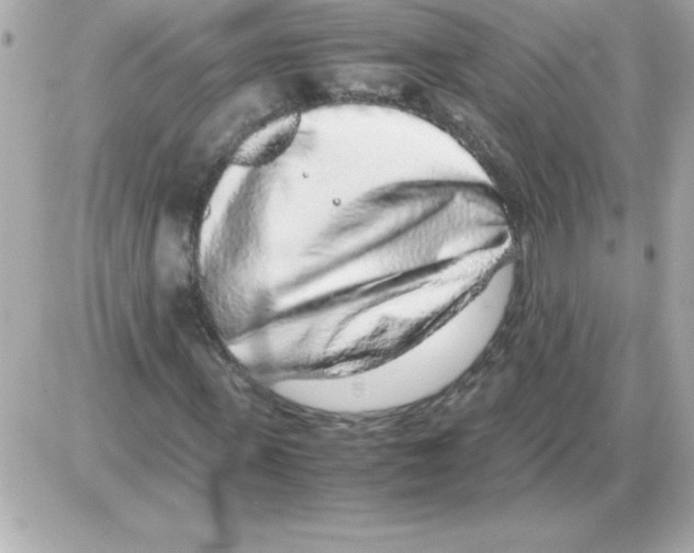 X0000085310915200704092319