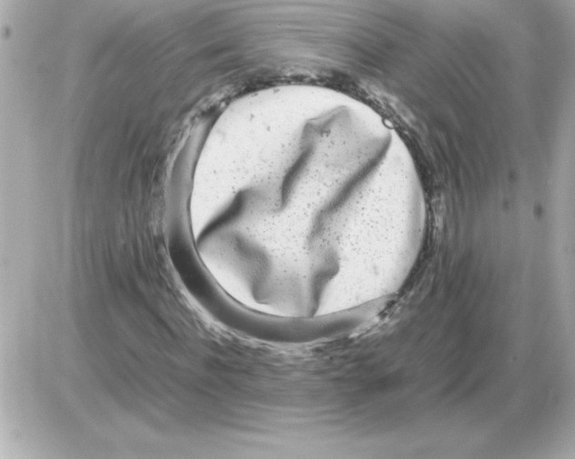 X0000085310916200704092319