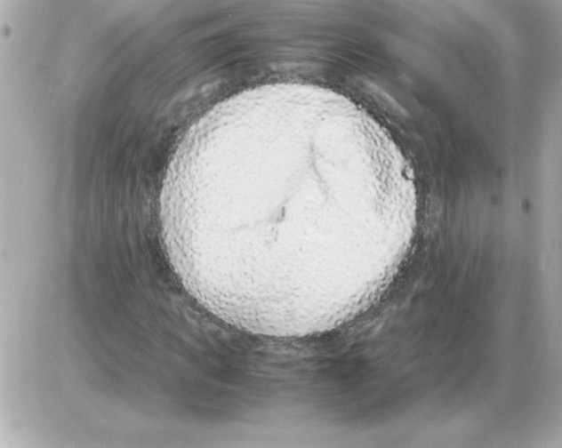 X0000085310917200704092319