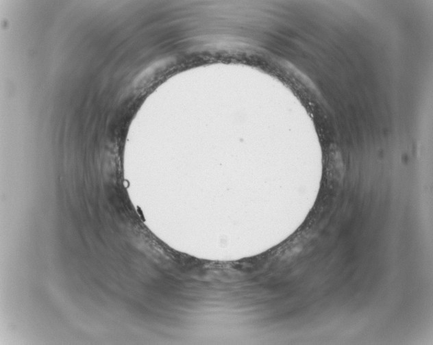 X0000085310918200704092319