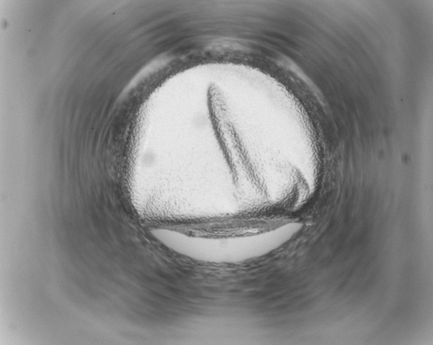 X0000085310919200704092319