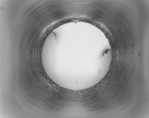 X0000085310920200704092319