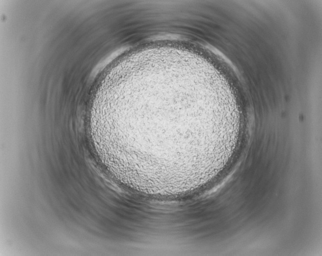 X0000085310921200704092319