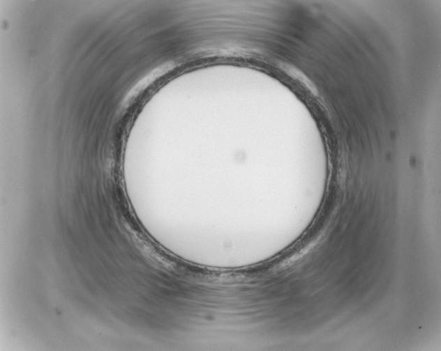 X0000085310922200704092319