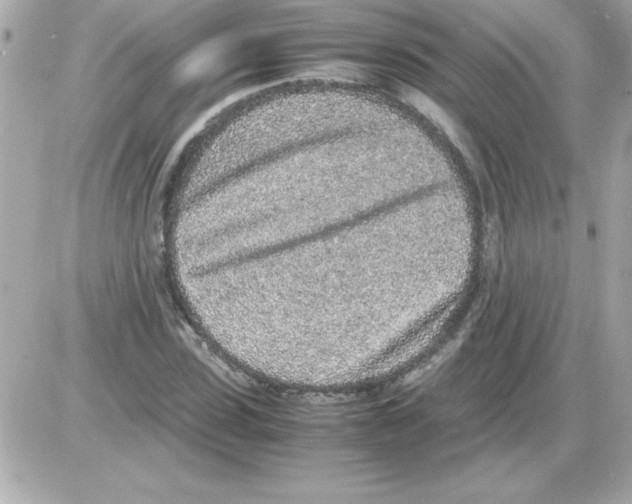 X0000085310923200704092319