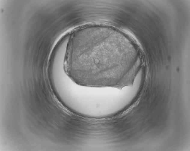 X0000085310924200704092319