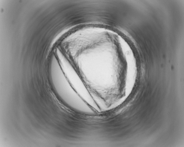 X0000085310925200704092319