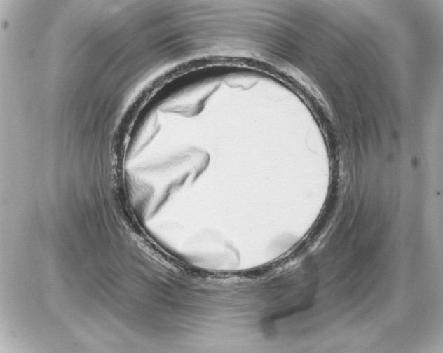 X0000085310926200704092319