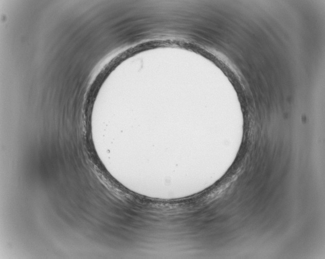 X0000085310927200704092319