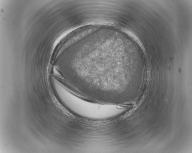 X0000085310928200704092319