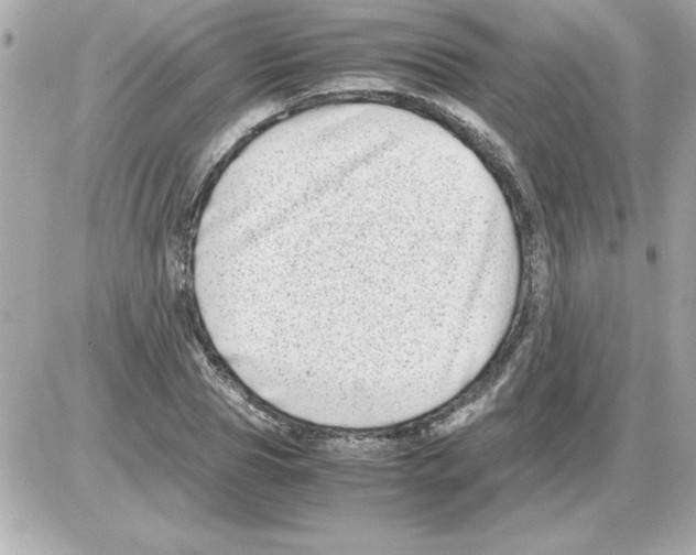 X0000085310929200704092319