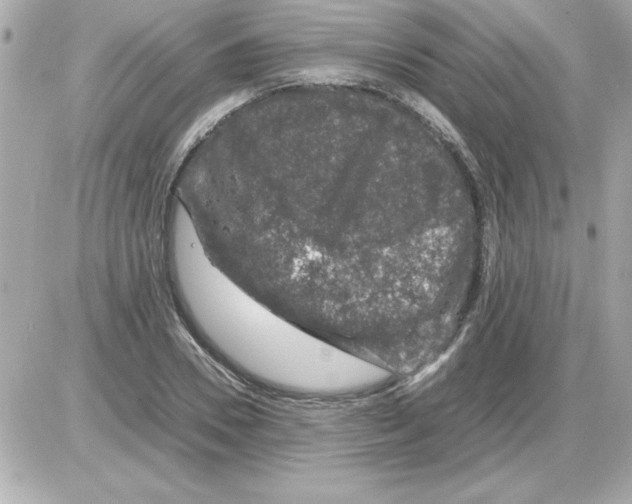 X0000085310930200704092319