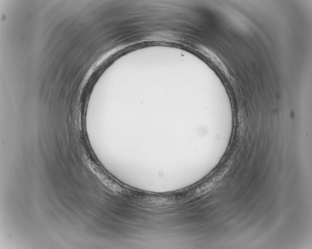 X0000085310931200704092319