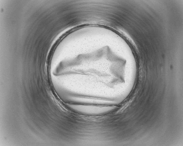 X0000085310932200704092319