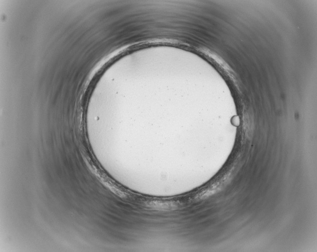 X0000085310933200704092319