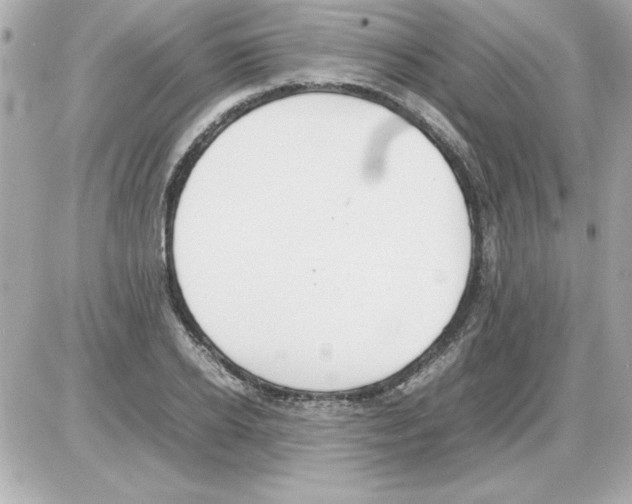 X0000085310934200704092319