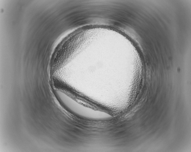 X0000085310935200704092319