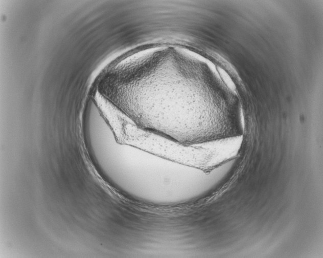 X0000085310936200704092319