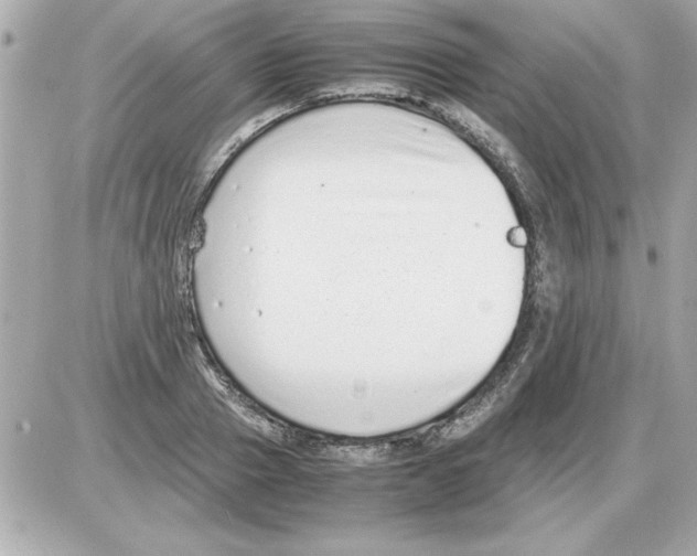 X0000085310937200704092319