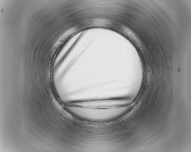 X0000085310938200704092319