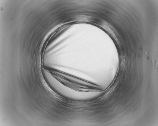 X0000085310939200704092319