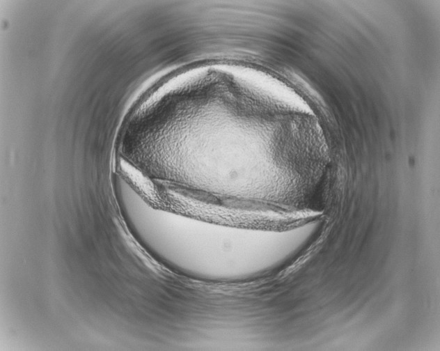 X0000085310940200704092319