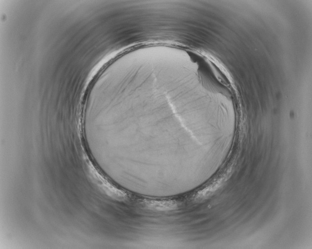 X0000085310941200704092319