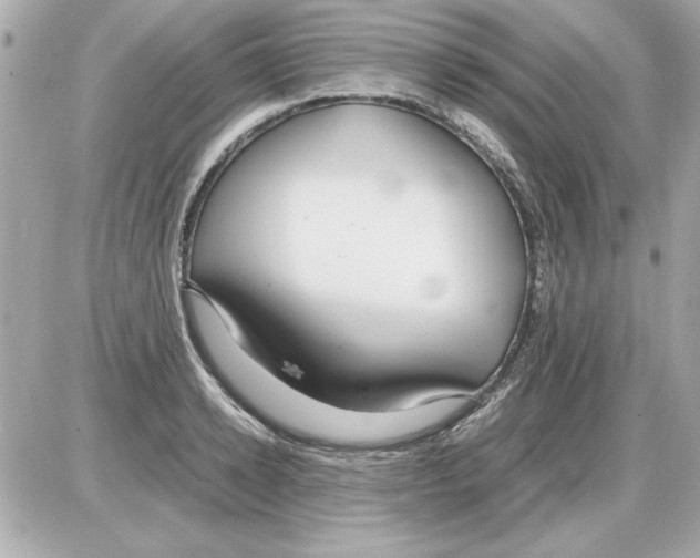 X0000085310942200704092319