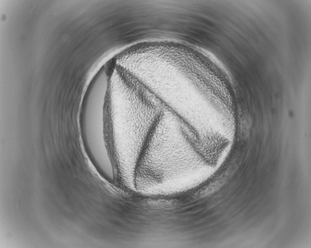 X0000085310943200704092319