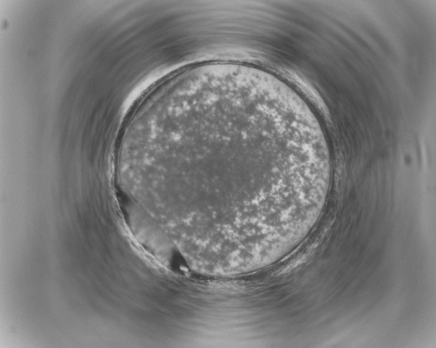 X0000085310944200704092319