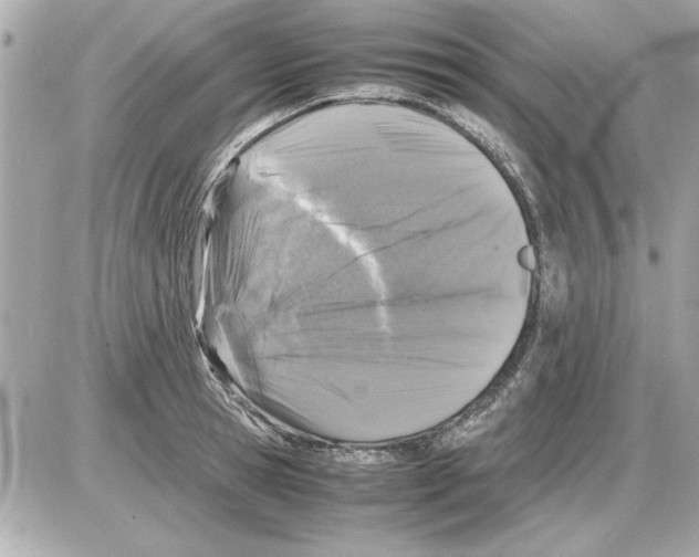 X0000085310945200704092319