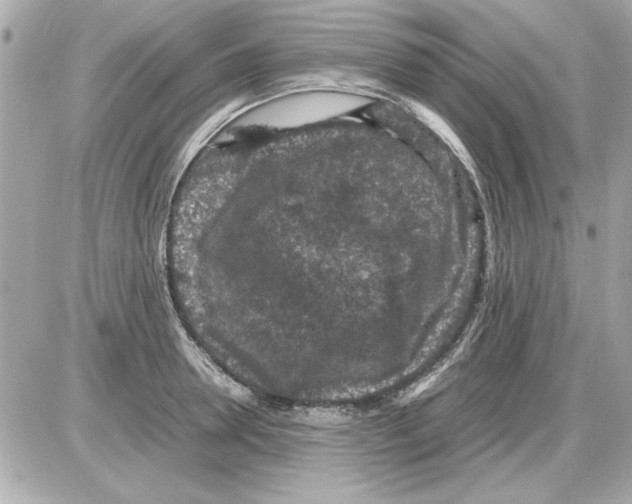 X0000085310946200704092320