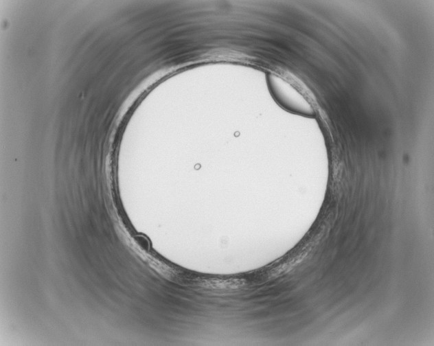 X0000085310947200704092320