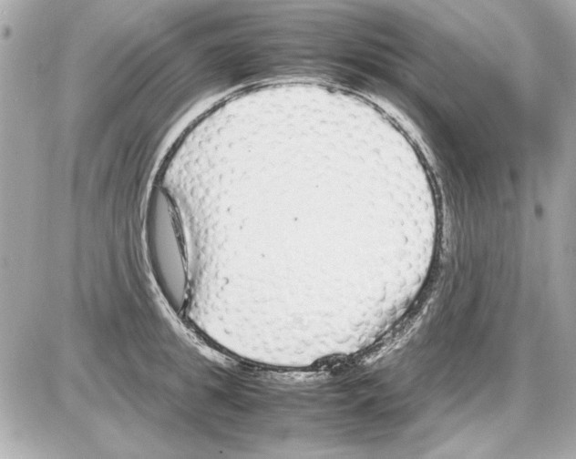 X0000085310949200704092320