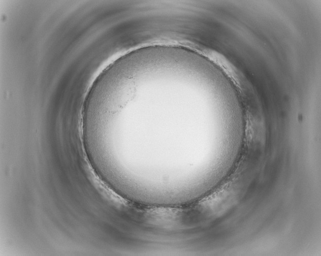 X0000085310950200704092320