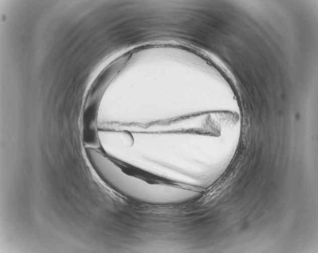 X0000085310951200704092320