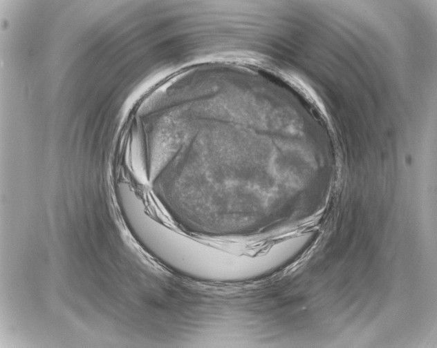 X0000085310952200704092320