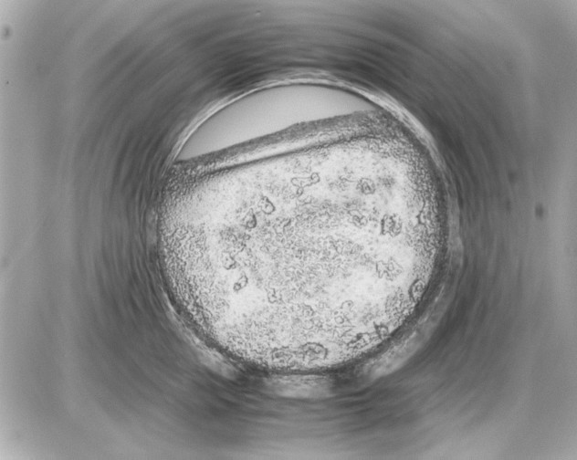 X0000085310953200704092320