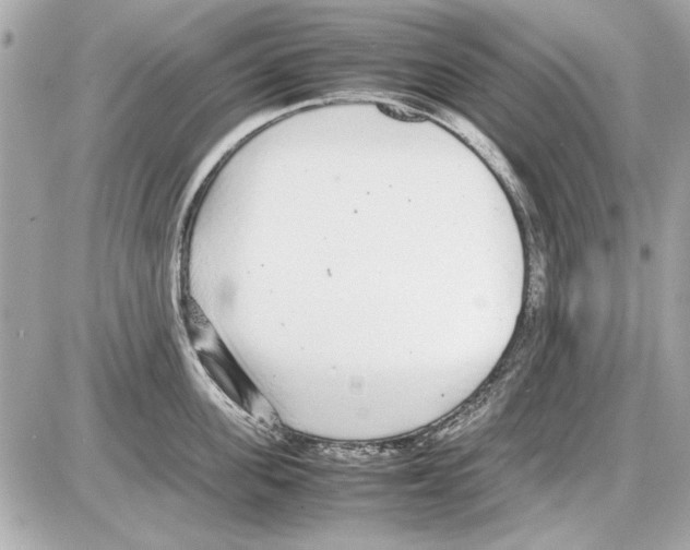 X0000085310955200704092320