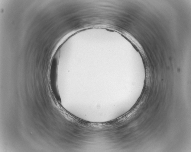 X0000085310956200704092320