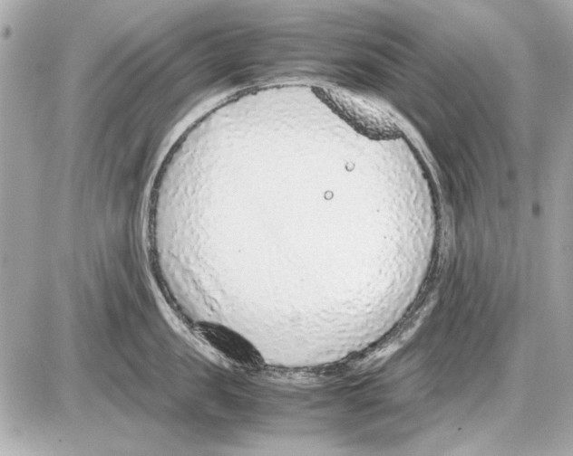 X0000085310957200704092320