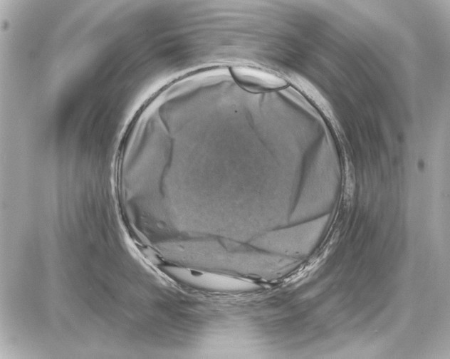 X0000085310958200704092320